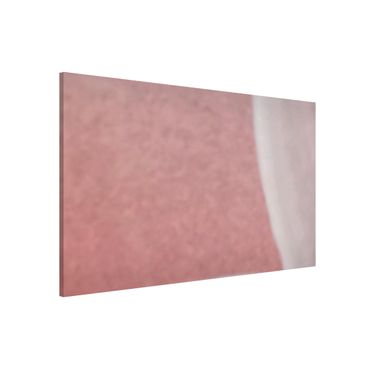 Lavagna magnetica - Dalia in rosa cipria