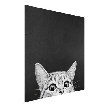 Stampa su Forex - Illustrazione Gatto Bianco e nero Disegno - Quadrato 1:1