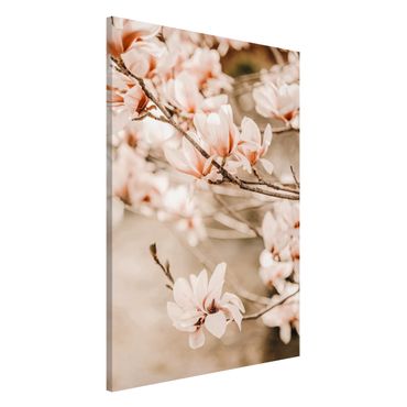 Lavagna magnetica - Ramo di magnolia in stile vintage