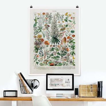 Poster - Vintage Consiglio Flowers I - Verticale 4:3