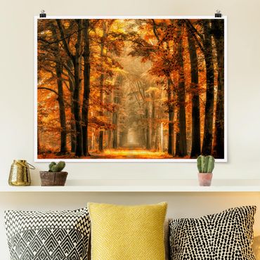 Poster - Enchanted Forest In autunno - Orizzontale 3:4