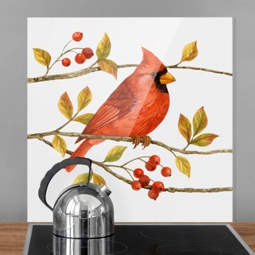 Paraschizzi in vetro - Birds And Berries - Northern Cardinal