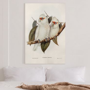 Stampa su tela - Illustrazione Vintage White Cockatoo - Verticale 3:2