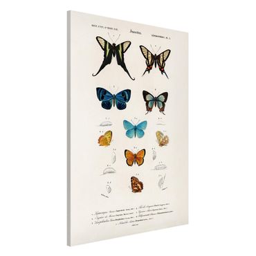 Lavagna magnetica - Vintage Consiglio Butterflies I - Formato verticale 2:3