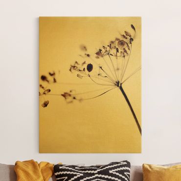 Quadro su tela oro - Macro inquadratura di fiore secco nell'ombra