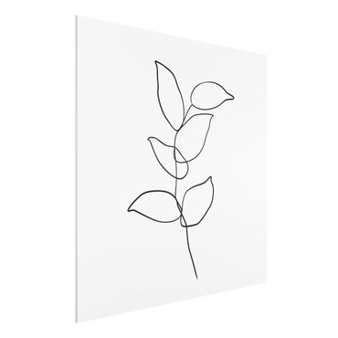 Stampa su Forex - Line Art ramo bianco e nero - Quadrato 1:1