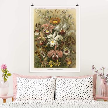Poster - Consiglio Orchid Vintage - Verticale 4:3