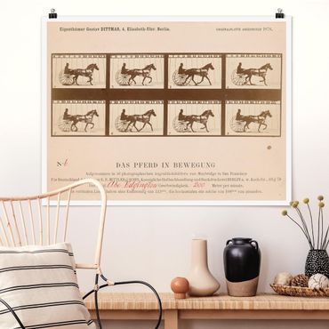 Poster - Eadweard Muybridge - Il Cavallo In Motion - Orizzontale 3:4
