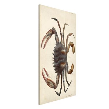 Lavagna magnetica - Vintage illustrazione Crab - Formato verticale 4:3