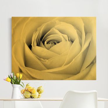 Quadro su tela oro - Primo piano di una rosa