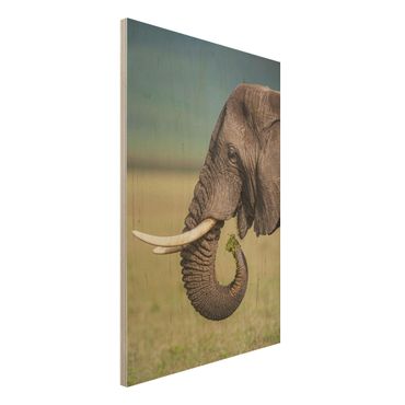 Quadro in legno - Elefanti alimentazione a Africa - Verticale 2:3