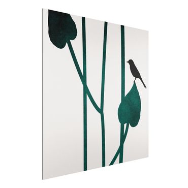 Stampa su alluminio - Mondo vegetale grafico - Uccellino su una foglia - Quadrato 1:1
