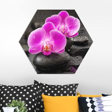 Esagono in forex - Pink Orchid Fiori Sulle Pietre Con Le Gocce