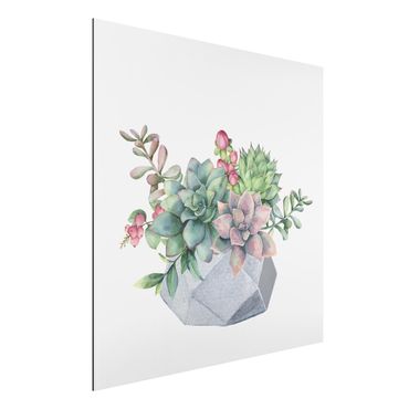 Stampa su alluminio - Illustrazione di piante grasse in acquerello