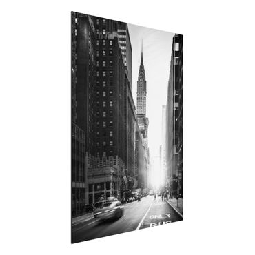 Stampa su alluminio - Vivace New York