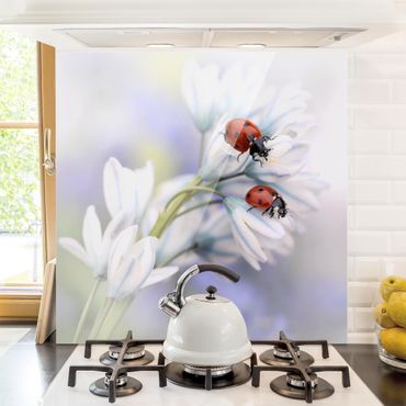 Paraschizzi in vetro - Ladybug On Flowers