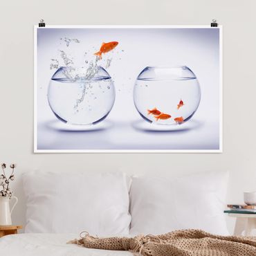 Poster - volante Goldfish - Orizzontale 2:3