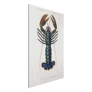 Stampa su alluminio spazzolato - Vintage Blue Board Lobster - Verticale 3:2