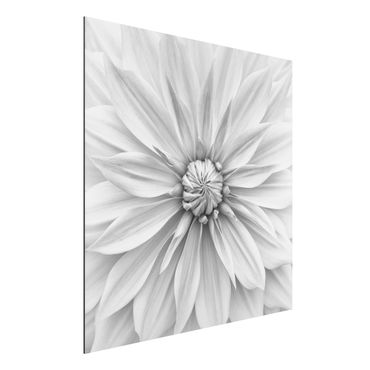 Stampa su alluminio - Fiori botanici in bianco