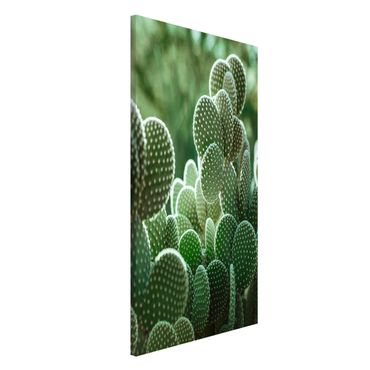 Lavagna magnetica - Cactus