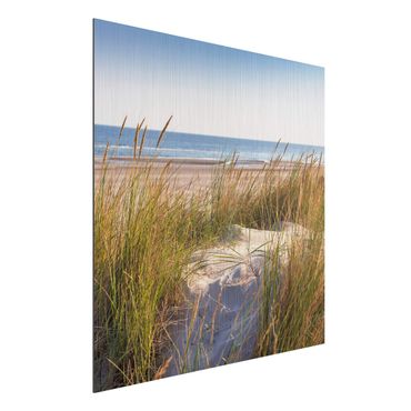 Stampa su alluminio spazzolato - Beach Dune Al Mare - Quadrato 1:1