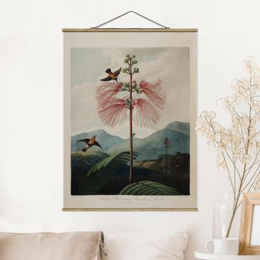 Foto su tessuto da parete con bastone - illustrazione d'epoca Botanica Fiore e colibrì - Verticale 4:3