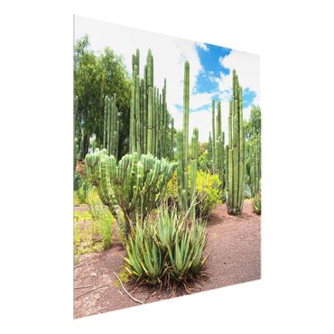 Quadro in vetro - cactus landscape - Quadrato 1:1