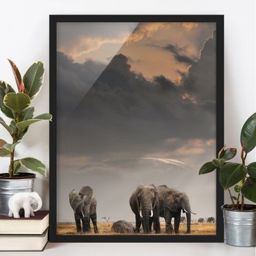 Poster con cornice - Elephant Savanna - Verticale 4:3