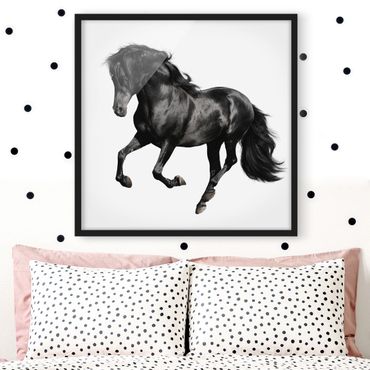 Poster con cornice - Arabian Stallion - Quadrato 1:1