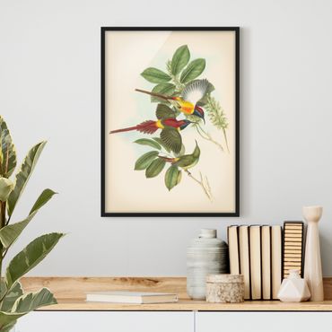 Poster con cornice - Illustrazione Vintage Tropical Birds III - Verticale 4:3