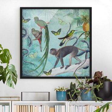 Poster con cornice - Coloniale Collage - Scimmie e uccelli del paradiso - Quadrato 1:1