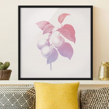 Poster con cornice - Moderna Vintage botanico Peach Rosa Viola - Quadrato 1:1