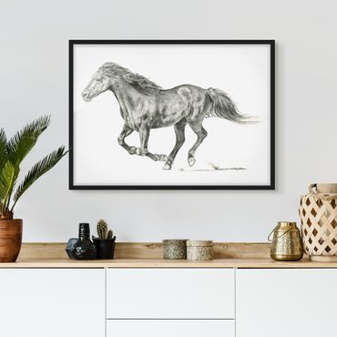 Poster con cornice - processo Wild horse - Mare
