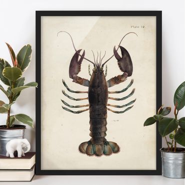 Poster con cornice - Vintage Illustrazione Lobster - Verticale 4:3