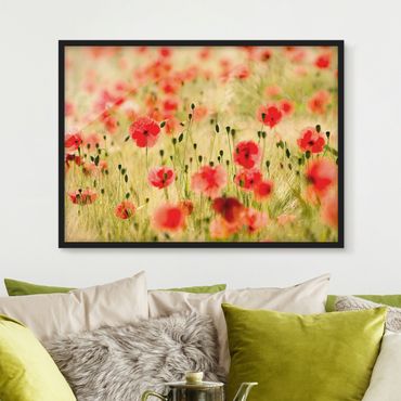 Poster con cornice - Summer Poppies - Orizzontale 3:4