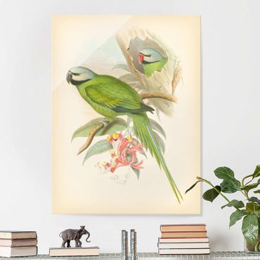 Quadro in vetro - Illustrazione Vintage Tropical Birds II - Verticale 4:3