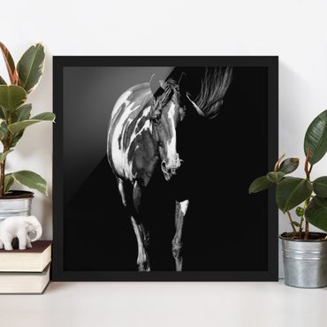 Poster con cornice - Horse In The Dark - Quadrato 1:1
