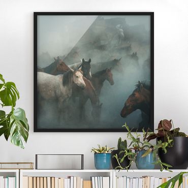 Poster con cornice - Wild Horses - Quadrato 1:1