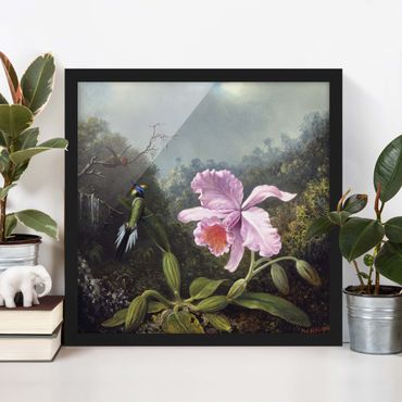 Poster con cornice - Martin Johnson Heade - Natura morta con orchidee e due colibrì - Quadrato 1:1
