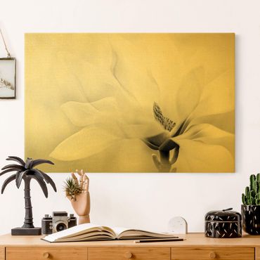 Quadro su tela oro - Delicata fioritura di magnolia in bianco e nero