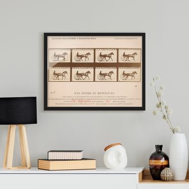 Poster con cornice - Eadweard Muybridge - The Horse In Motion - Orizzontale 3:4