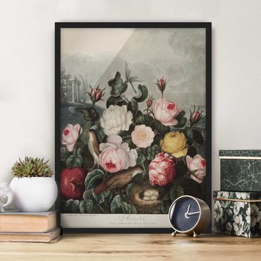 Poster con cornice - Botanica Vintage Illustrazione di rose - Verticale 4:3