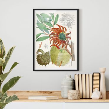 Poster con cornice - Illustrazione Vintage Tropical Flowers II - Verticale 4:3