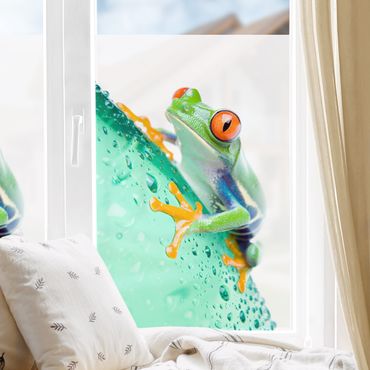 Decorazione per finestre Frog
