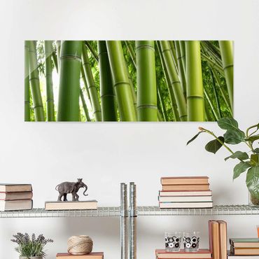 Quadro in vetro - Bamboo Trees No.1 - Panoramico
