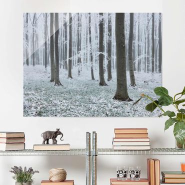 Quadro in vetro - Beeches With Hoarfrost - Large 3:4