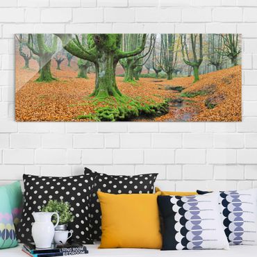 Quadro in vetro - Beech Forest In The Gorbea Natural Park In Spain - Panoramico