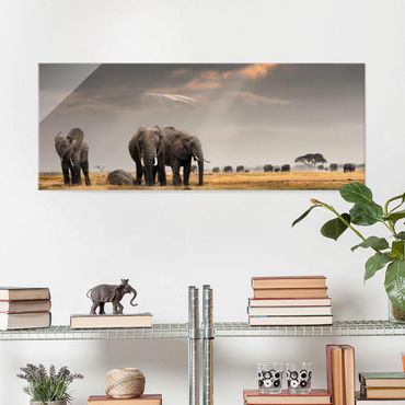 Quadro in vetro - Elephant savanna - Panoramico