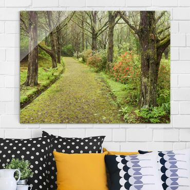 Quadro in vetro - Moss Covered Road - Large 3:4