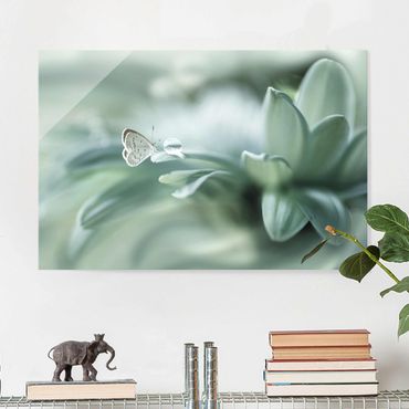 Quadro in vetro - Farfalla E Gocce di rugiada In Pastel Verde - Orizzontale 3:2